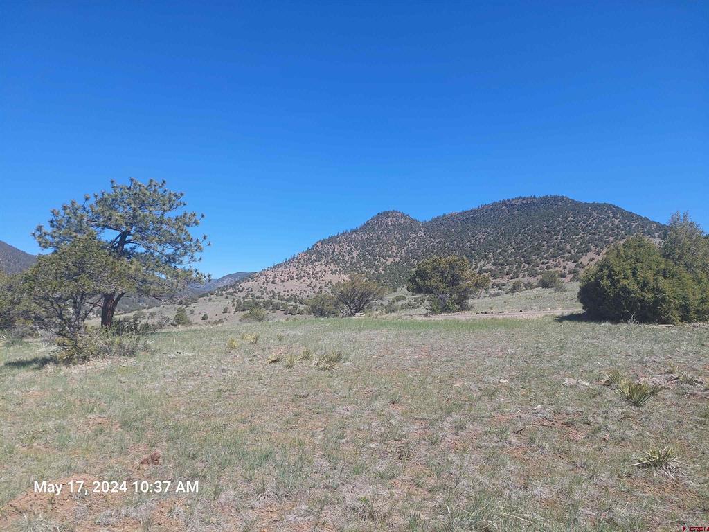 311 Vista De Verde Circle Property Photo 19