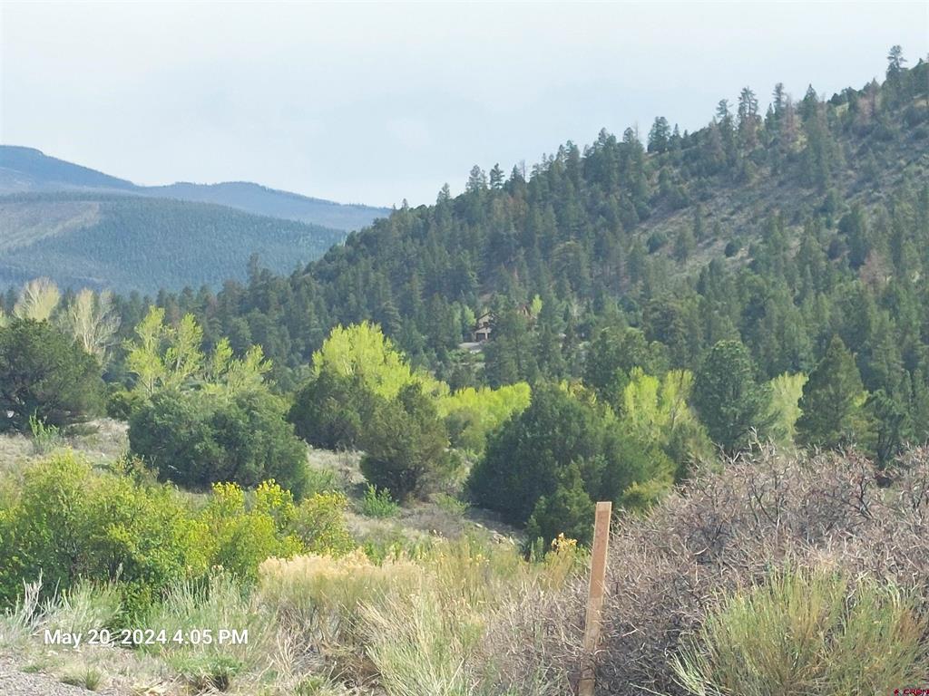 2166 Bear Creek Circle Property Photo 1