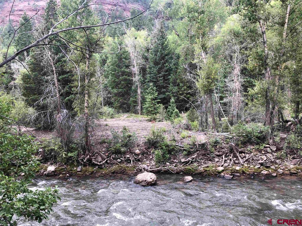 Tbd Highway 145 Property Photo