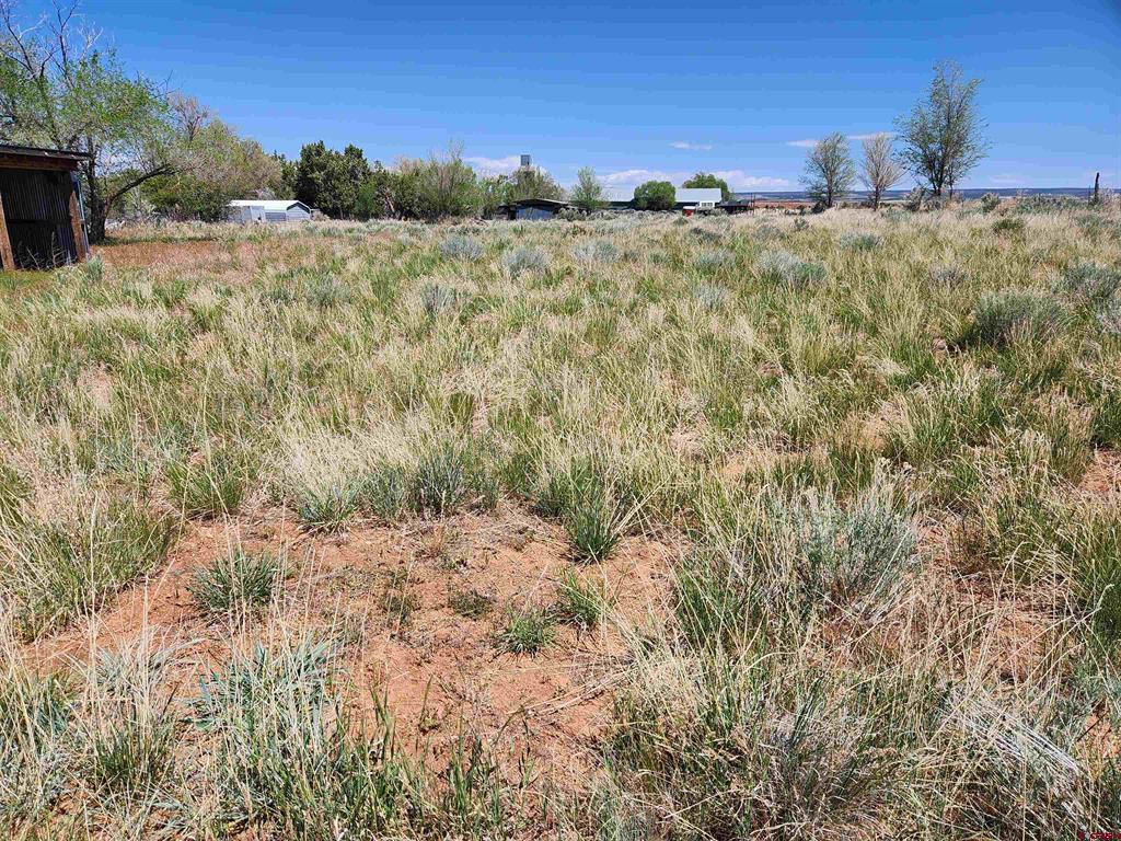 51570 Highway 491 Property Photo 23
