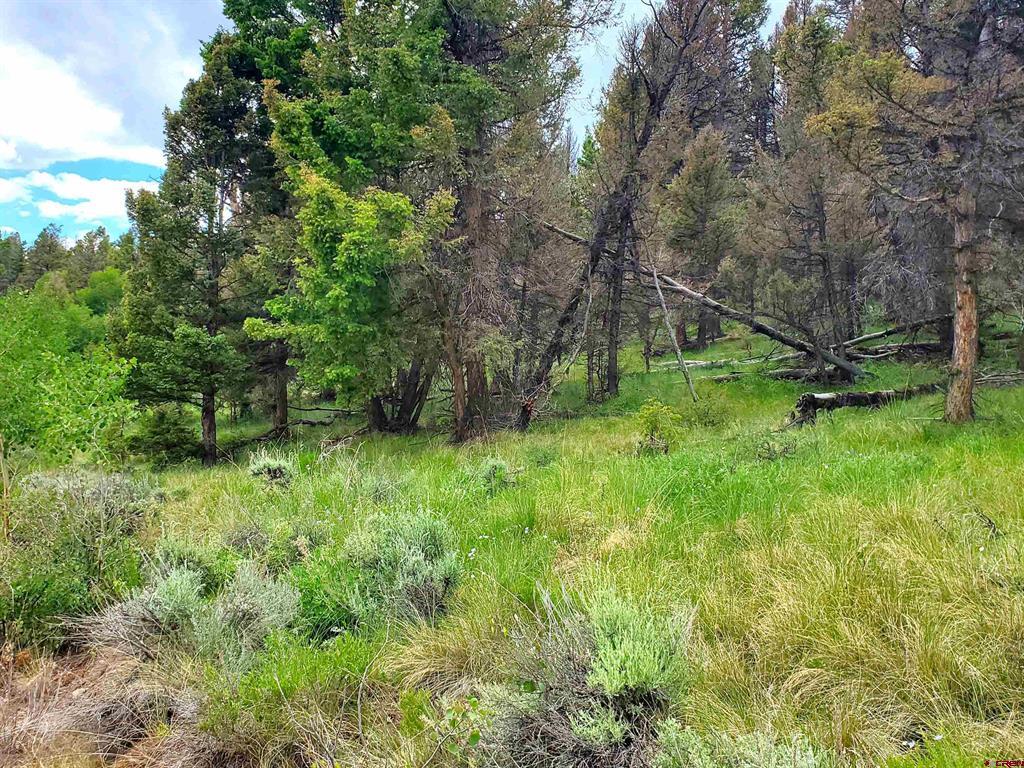 284 Kebler Trail Property Photo