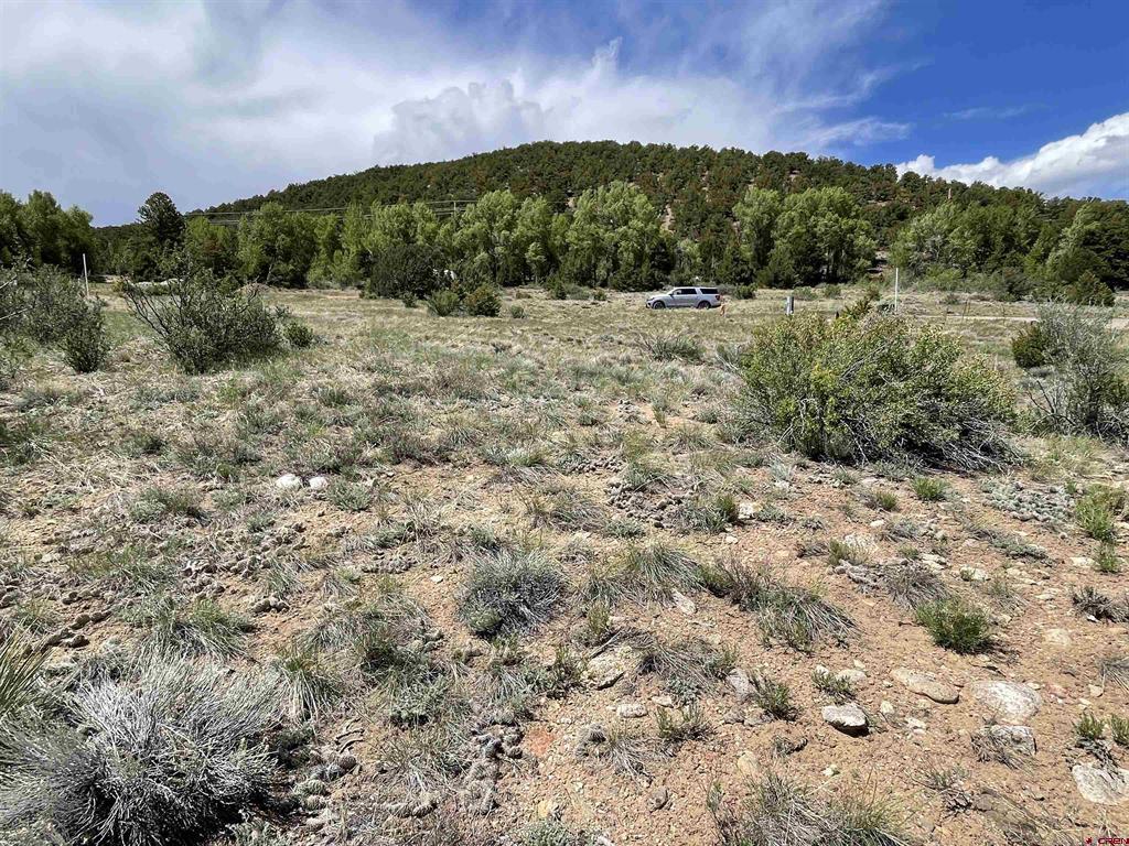 16115 Rocky Mountain Road Property Photo 10