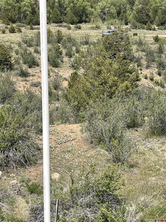 16115 Rocky Mountain Road Property Photo 16