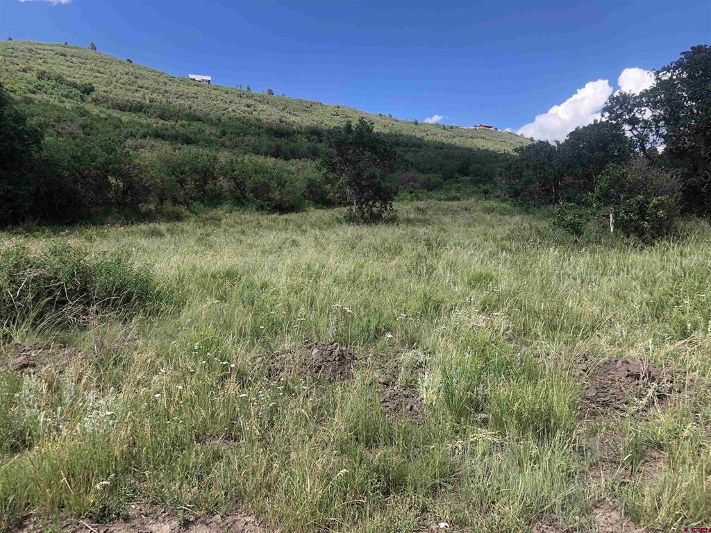 Lot 61 Road H.4 Property Photo 2