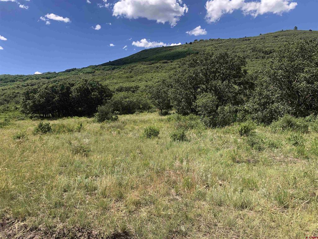 Lot 61 Road H.4 Property Photo 9