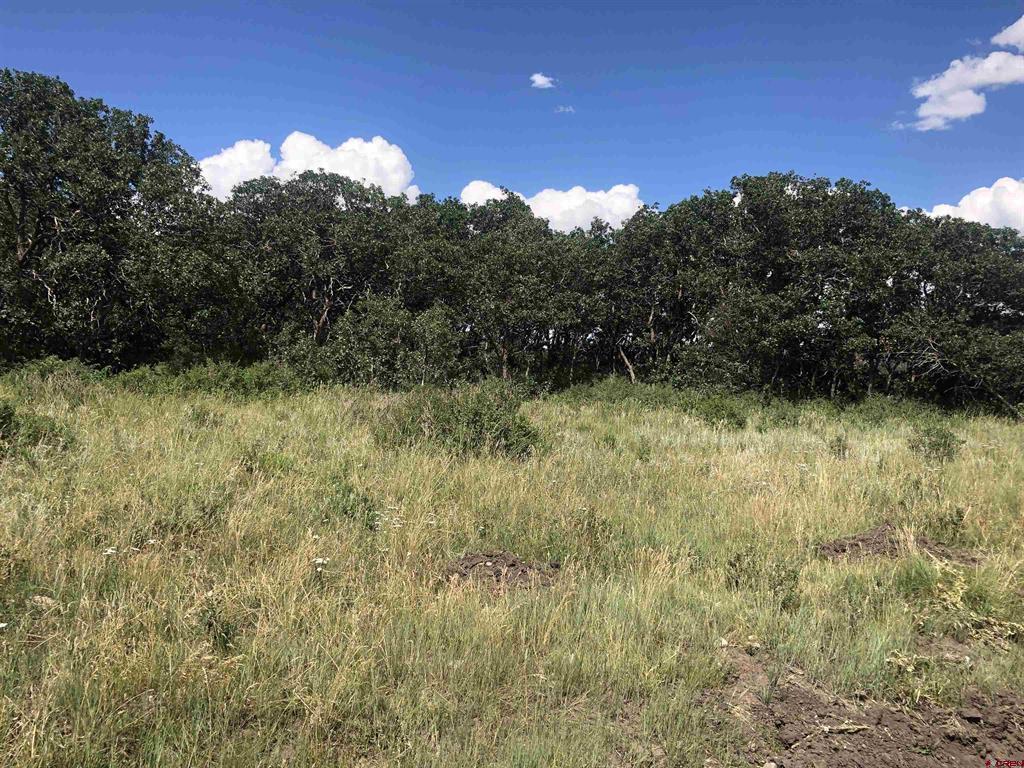 Lot 61 Road H.4 Property Photo 10