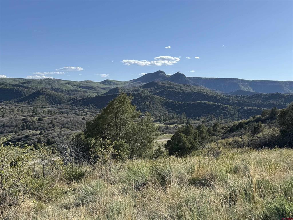 4625 Road 31 Lot 20 Property Photo 5