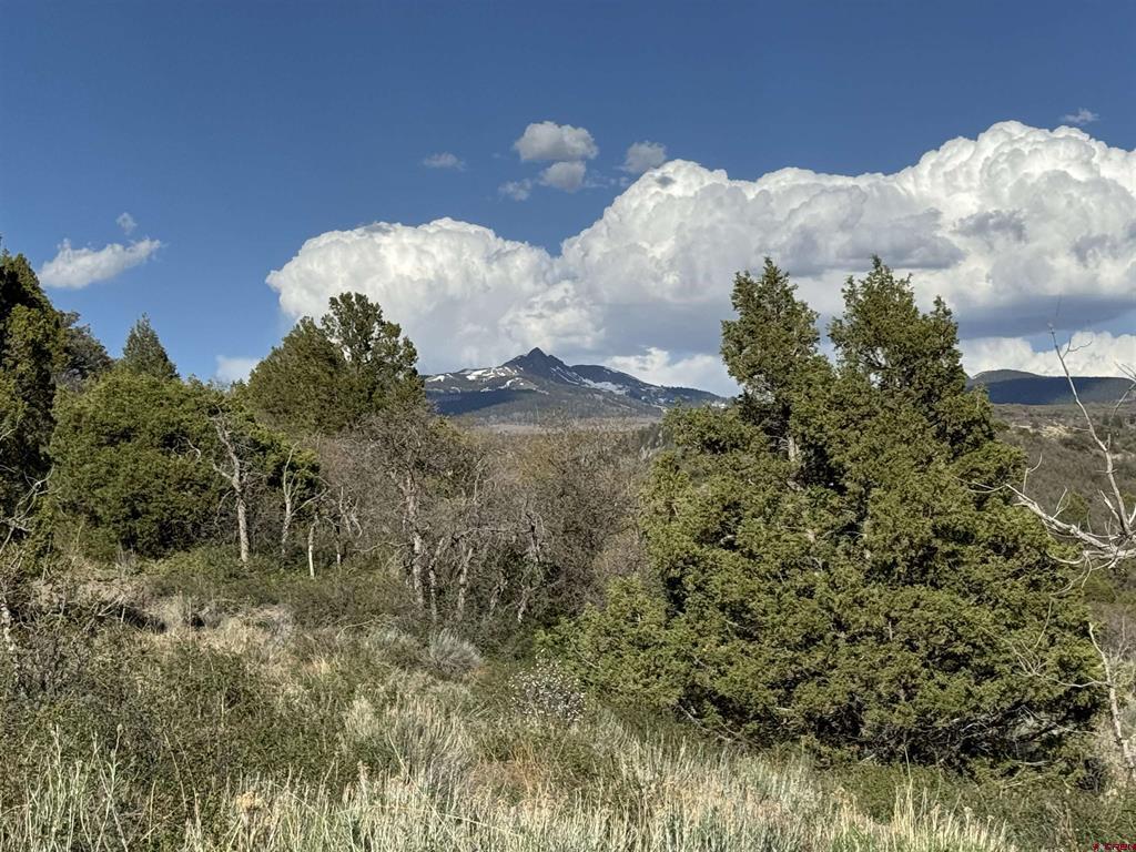 4625 Road 31 Lot 20 Property Photo 15