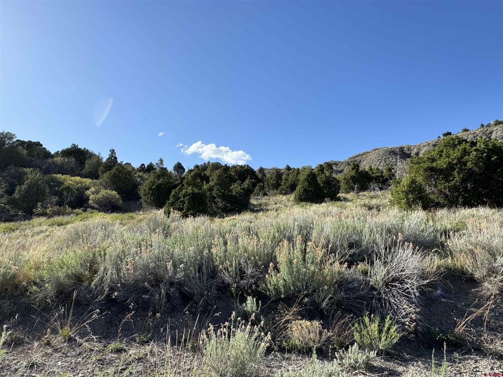 4625 Road 31 Lot 20 Property Photo 18