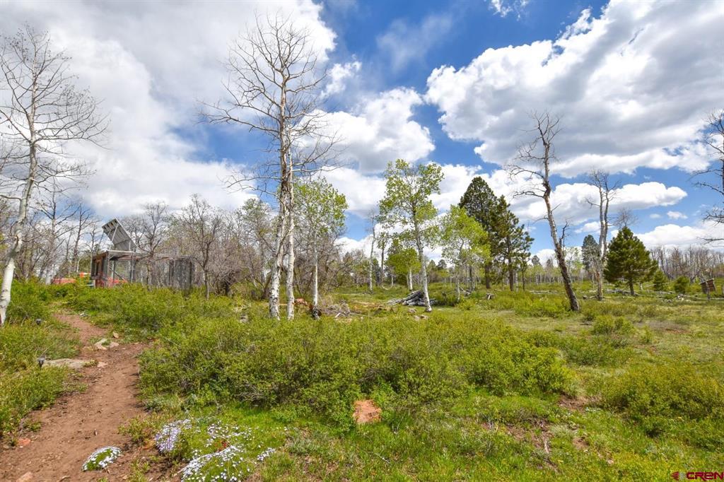56000 Ii Road Property Photo 15