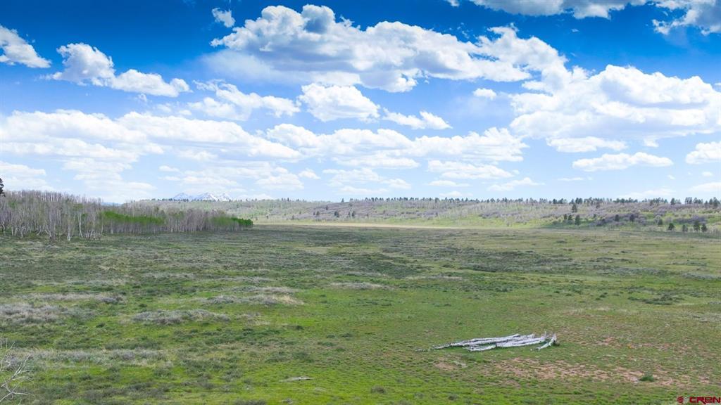 56000 Ii Road Property Photo 22