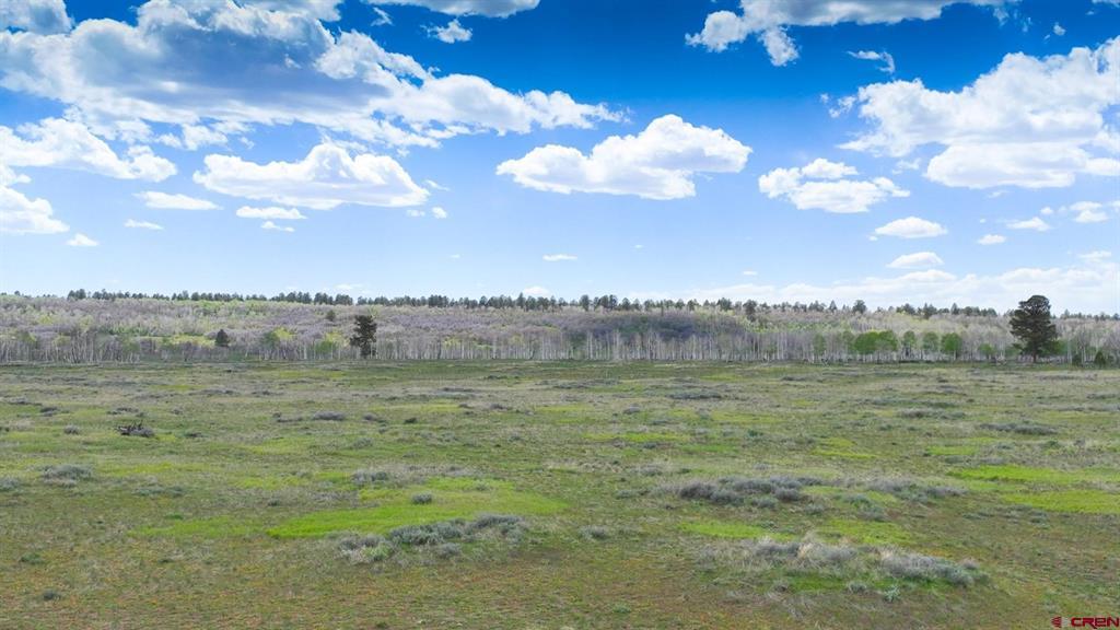 56000 Ii Road Property Photo 24