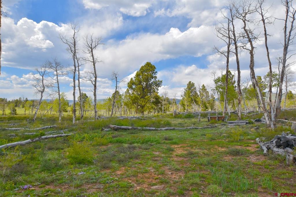 56000 Ii Road Property Photo 30