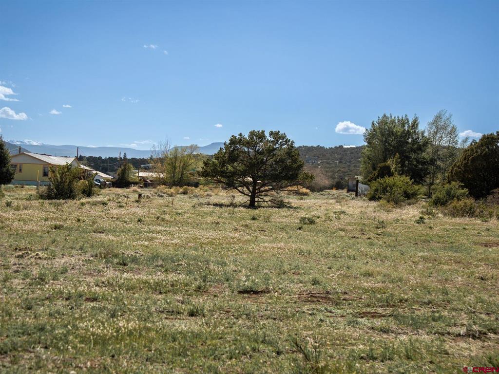 127 Brown's Road Property Photo 12