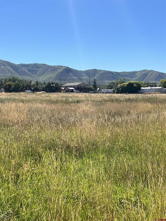 960 Bauer Property Photo 5