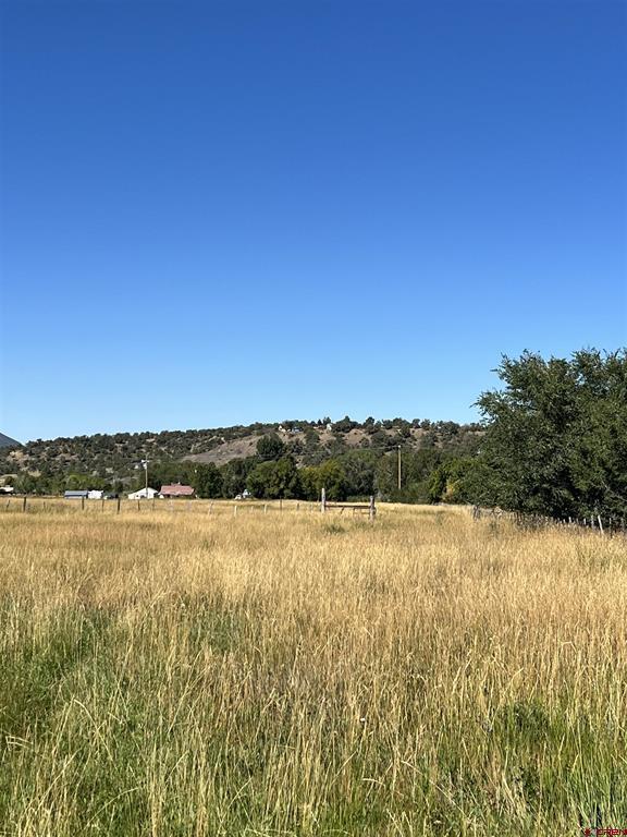 960 Bauer Property Photo 7