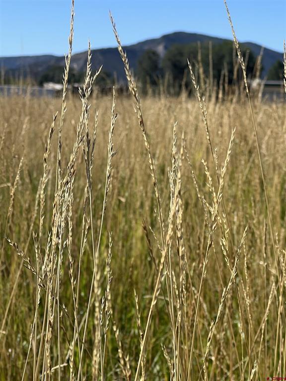 960 Bauer Property Photo 8