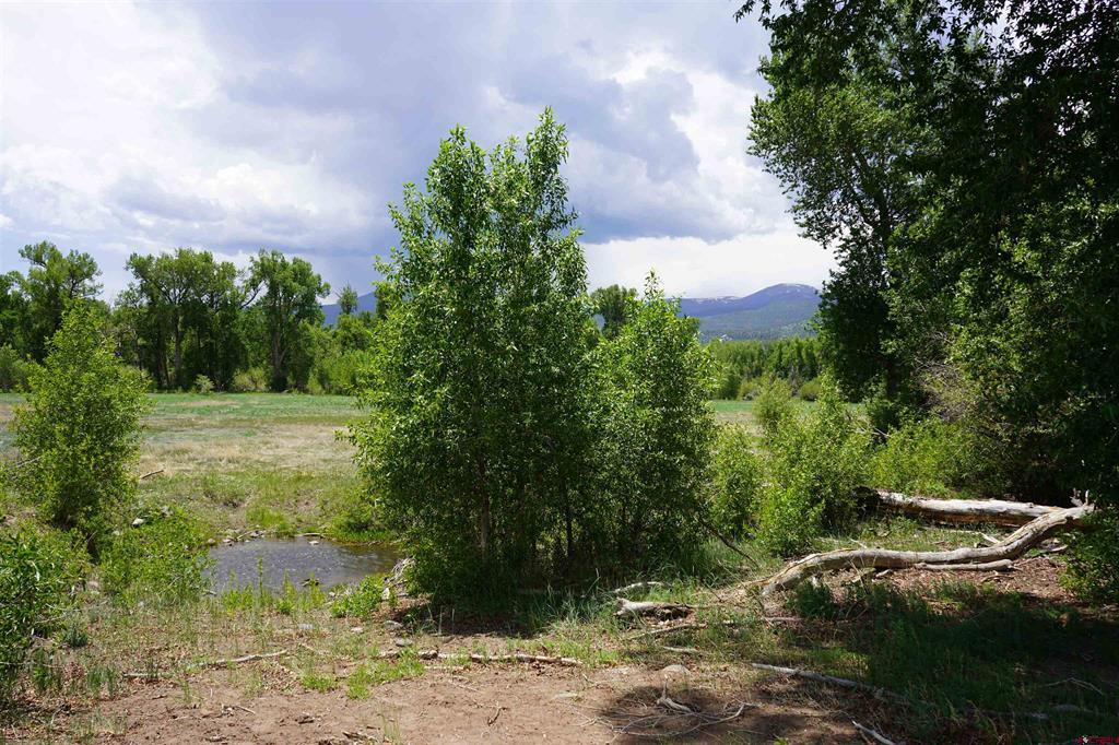 1886 River Island Dr. Property Photo