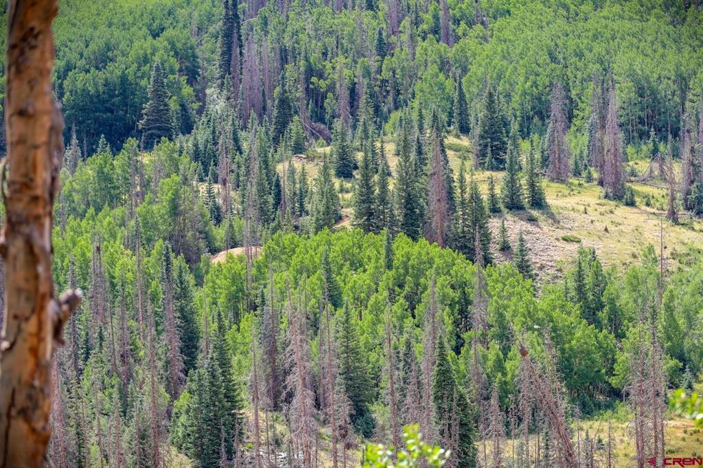 X Forest Service Road 250 Property Photo 3
