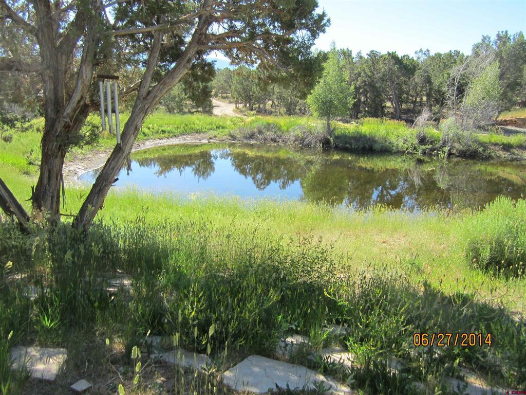 1917 County Rd 22 Property Photo 35