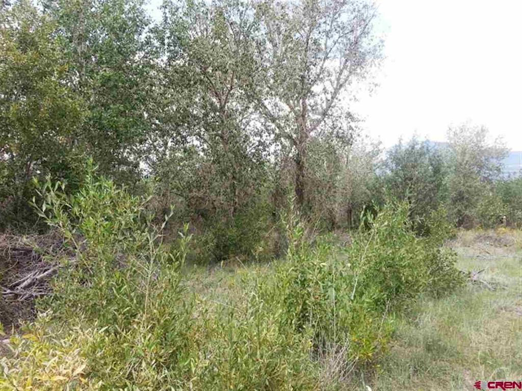 000 Shoshone Trail Property Photo 4