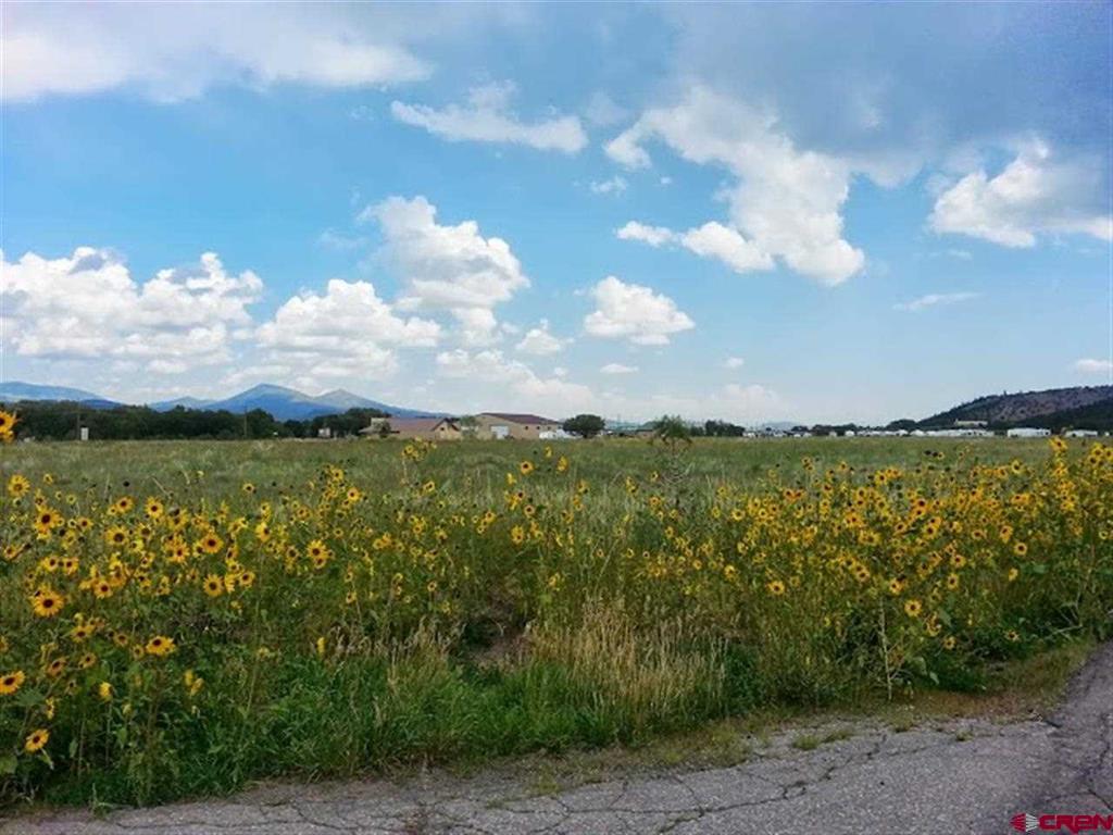000 Shoshone Trail Property Photo 3