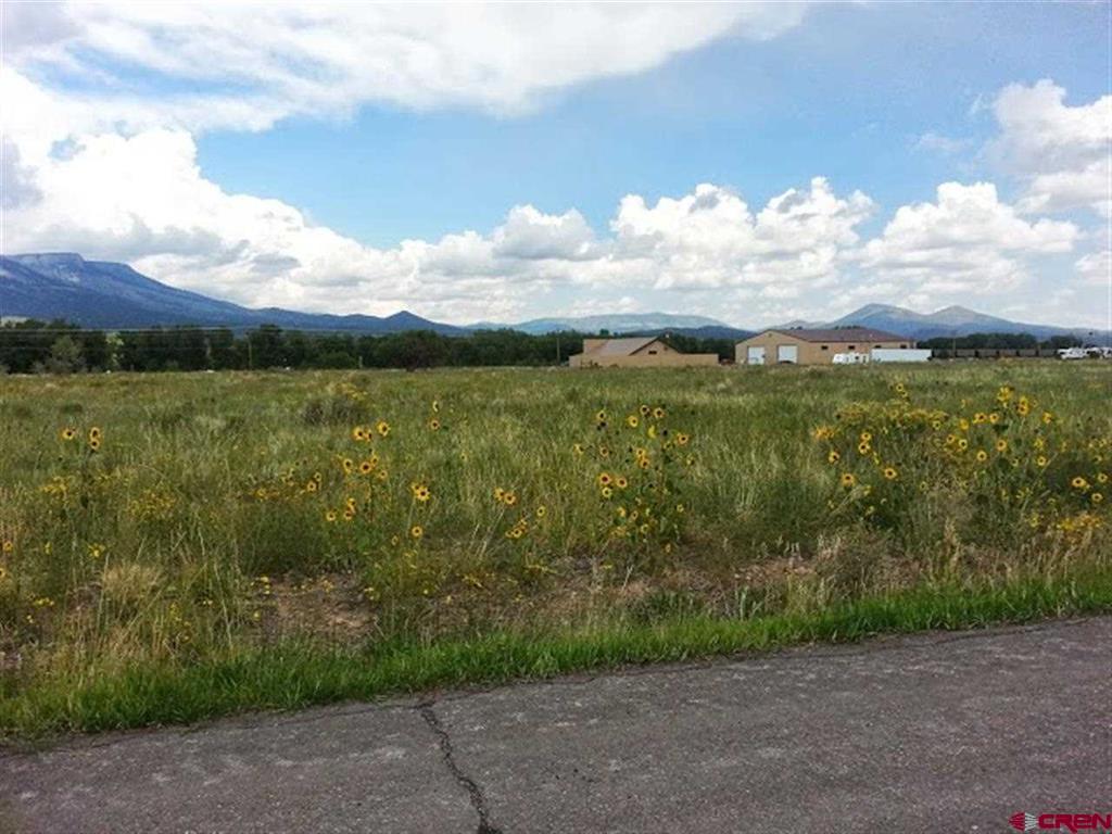 000 Shoshone Trail Property Photo 5