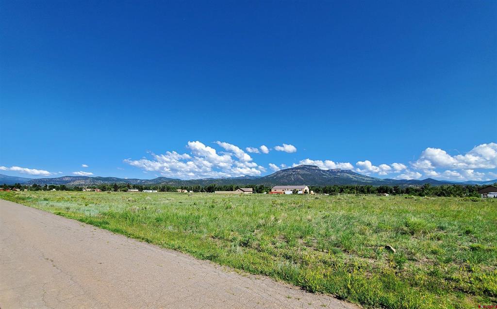 000 Shoshone Trail Property Photo 9