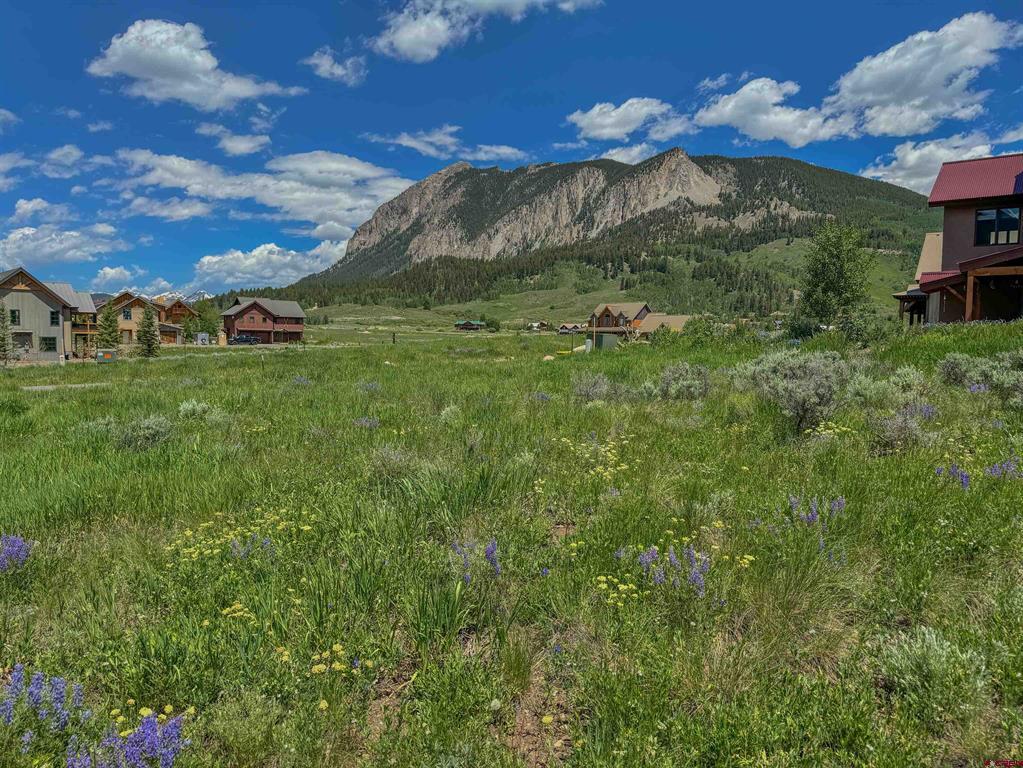 56 Bridle Spur Way Property Photo 7