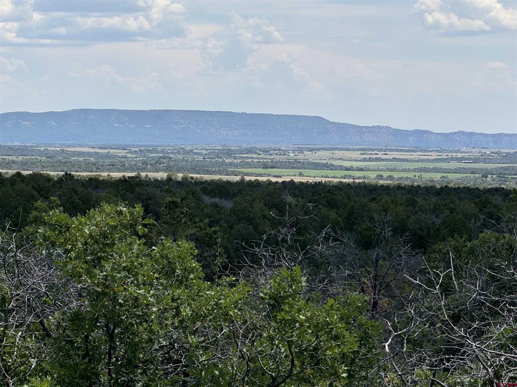 Tbd De Oro Way Lot 29 Property Photo 2