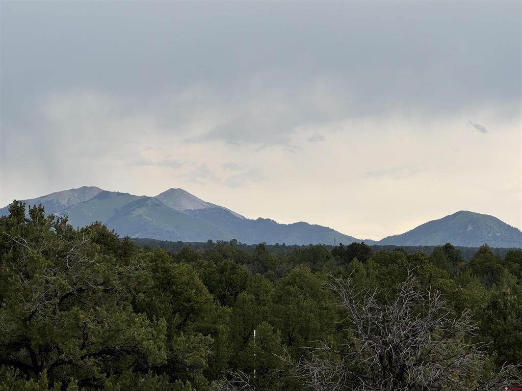 Tbd De Oro Way Lot 29 Property Photo 4