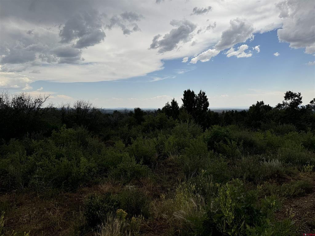 Tbd De Oro Way Lot 29 Property Photo 5
