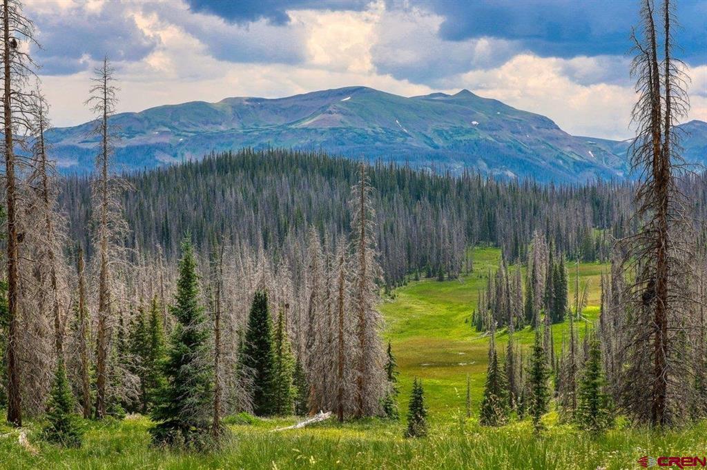 Tbd Stunner Pass Property Photo 3