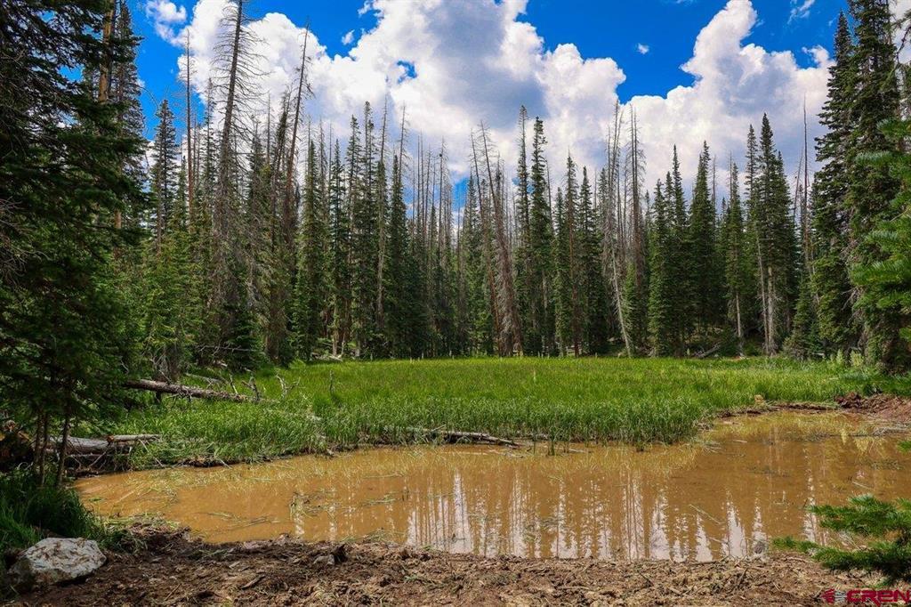 Tbd Stunner Pass Property Photo 4