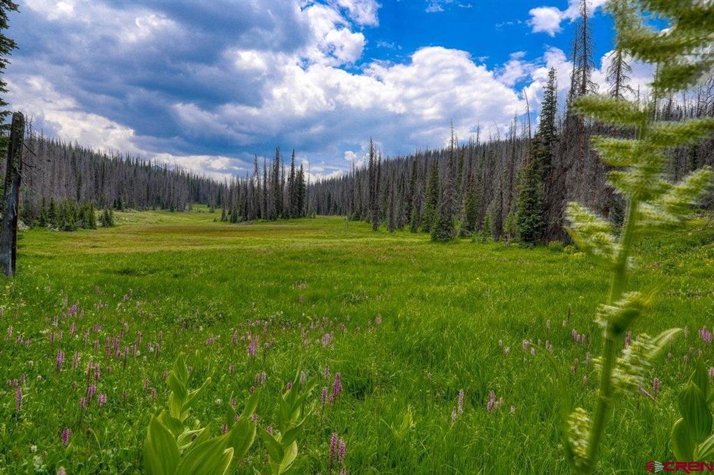 Tbd Stunner Pass Property Photo 8