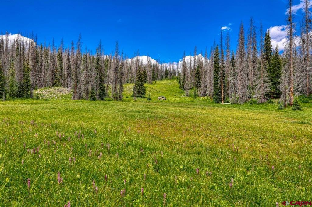 Tbd Stunner Pass Property Photo 9