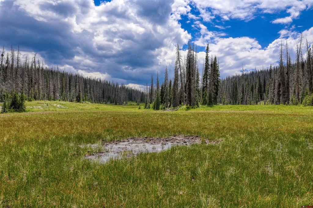 Tbd Stunner Pass Property Photo 10