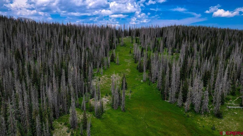 Tbd Stunner Pass Property Photo 12