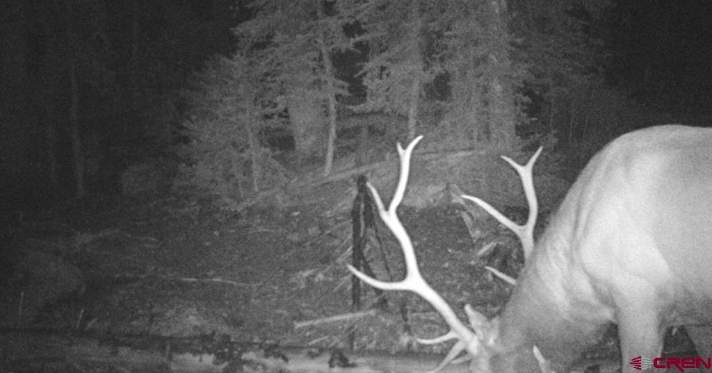 Tbd Stunner Pass Property Photo 13