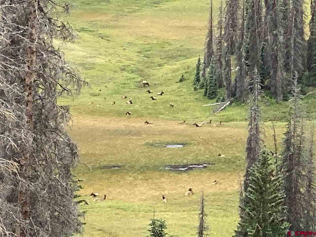 Tbd Stunner Pass Property Photo 14