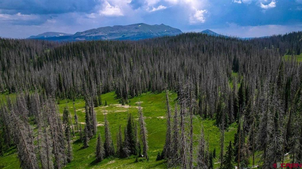 Tbd Stunner Pass Property Photo 22