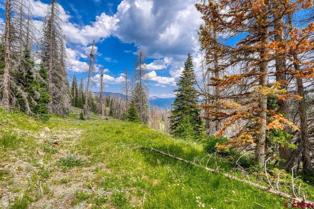 Tbd Stunner Pass Property Photo 26