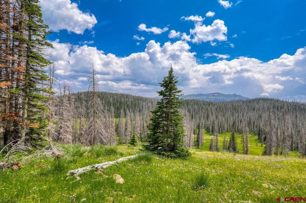 Tbd Stunner Pass Property Photo 27