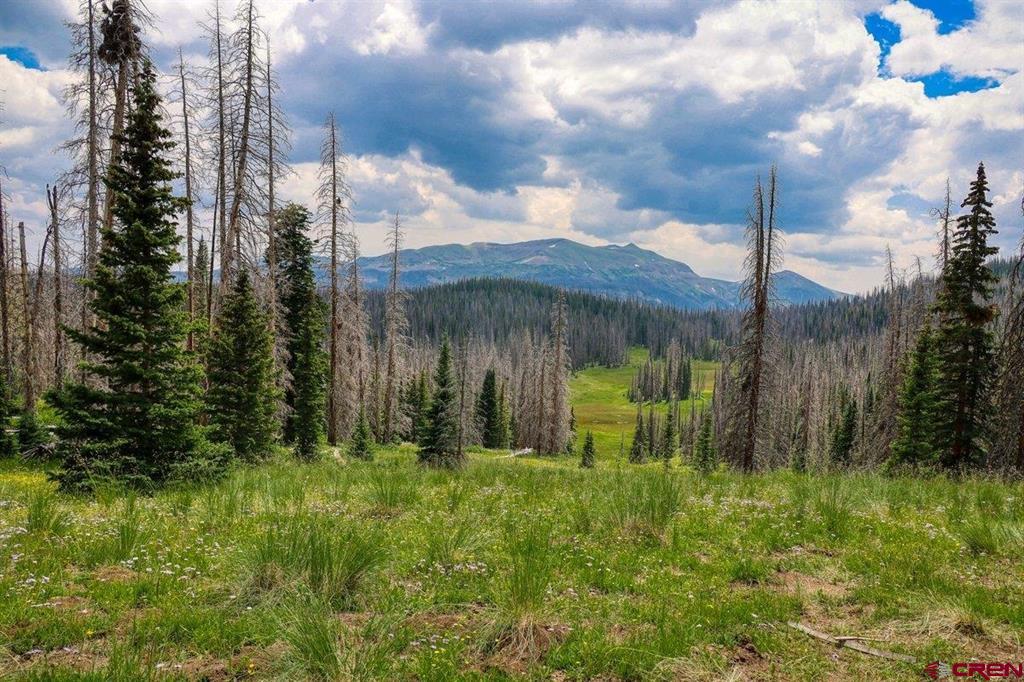Tbd Stunner Pass Property Photo 29