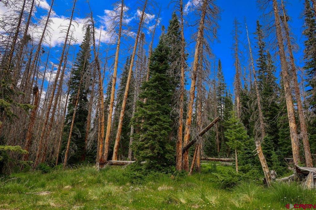 Tbd Stunner Pass Property Photo 30