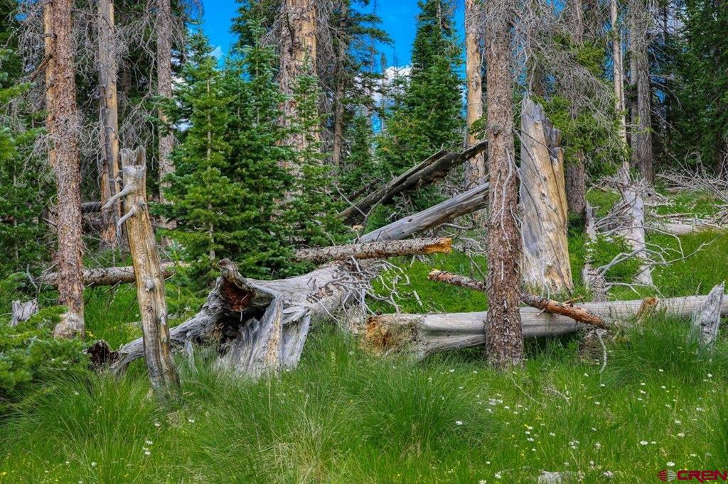 Tbd Stunner Pass Property Photo 31