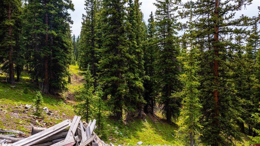 Tin Cup Mining District Property Photo 4