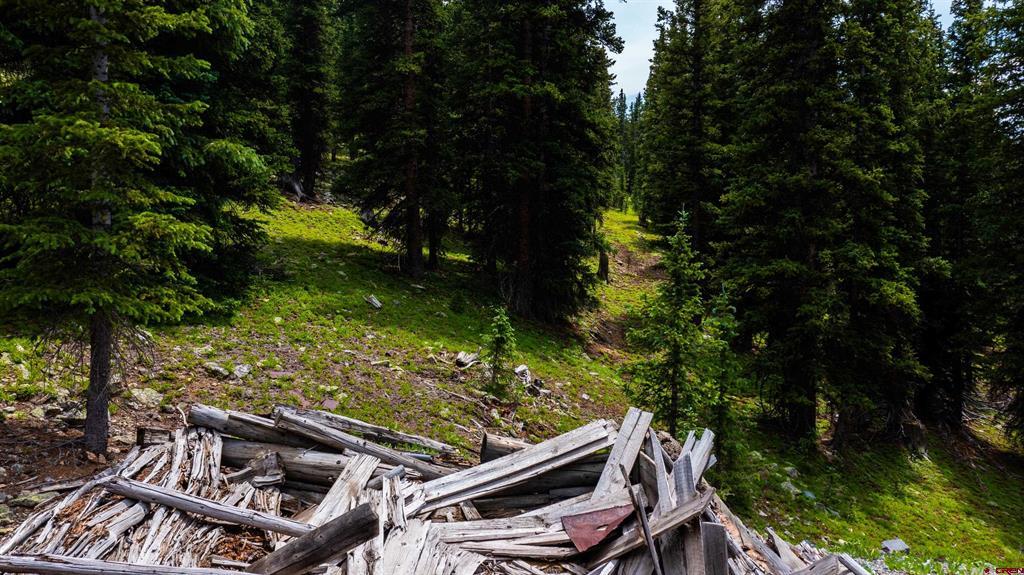 Tin Cup Mining District Property Photo 10