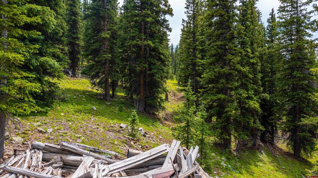 Tin Cup Mining District Property Photo 12