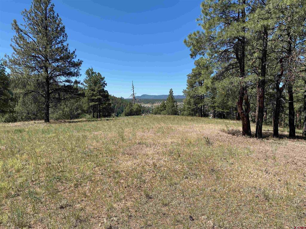 1001 County Rd 200 Property Photo 9